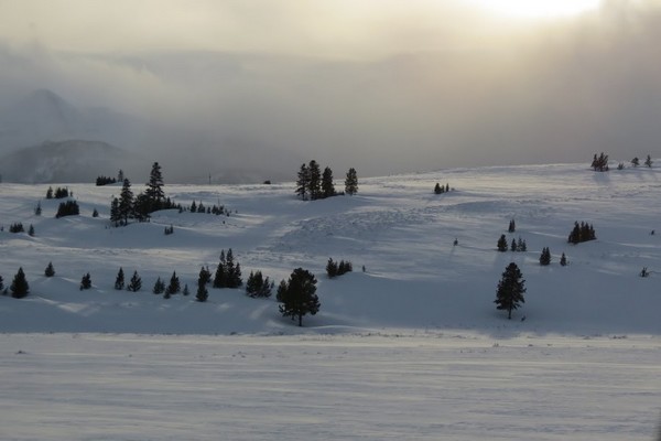 Parc National de Yellowstone