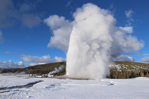 Geyser Yellowstone