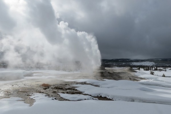 Parc National de Yellowstone en hiver