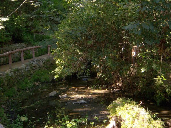 Fern Dell Nature Trail