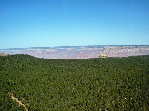 Survol forêt Kaibab Grand Canyon