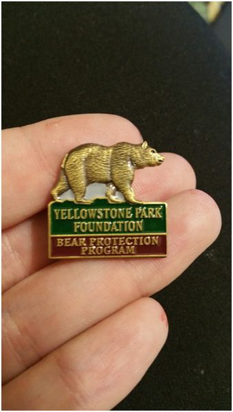 Pins ourson Yellowstone