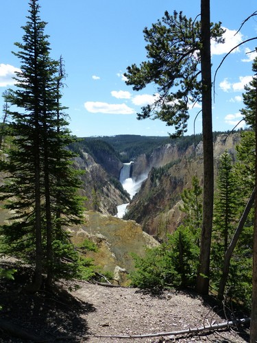 Yellowstone