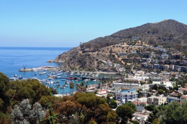 Santa Catalina Island Californie