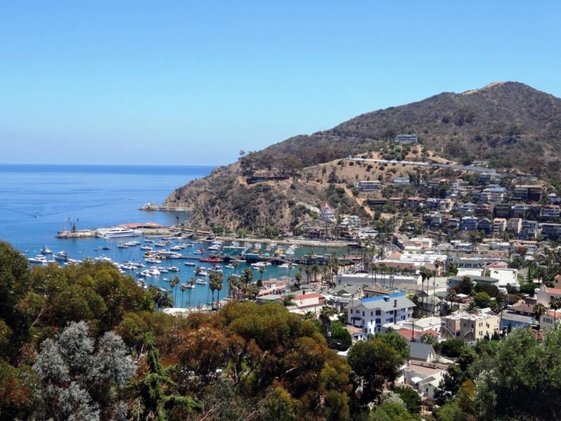 Visiter Santa Catalina Island en Californie