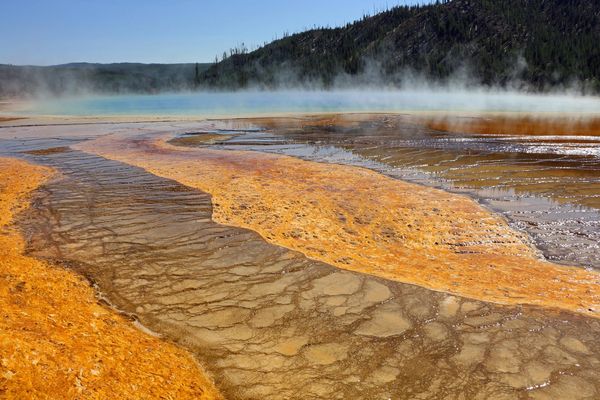 Parc du Yellowstone