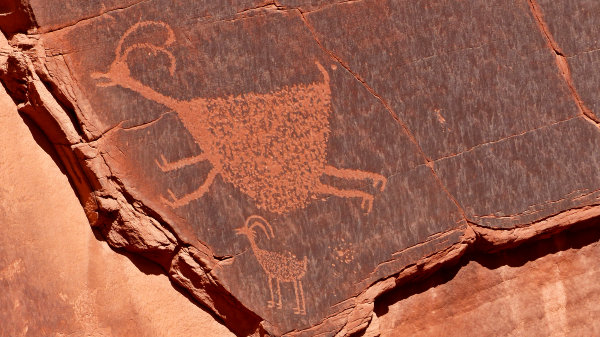 Pétroglyphes de big horn sheep à Mystery Valley Monument Valley