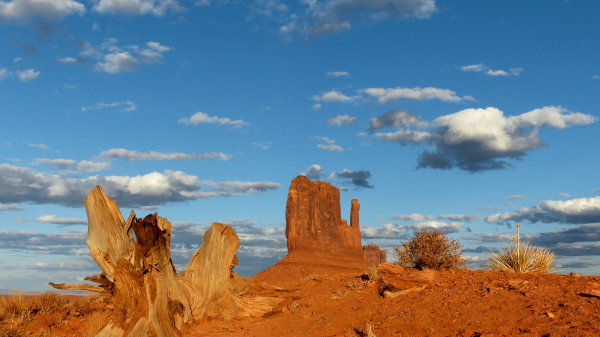 Wild Cat Trail au crépuscule Monument Valley