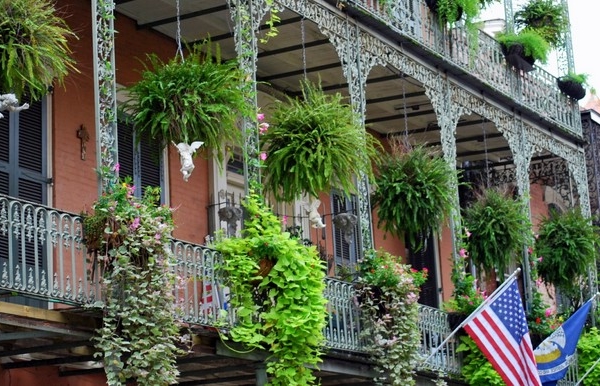 Activités à La Nouvelle-Orléans