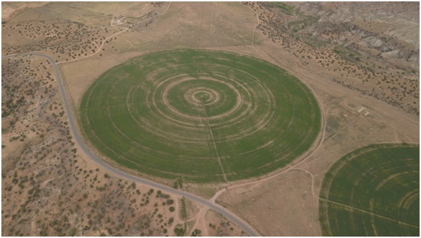 Champs américains vus depuis un drone