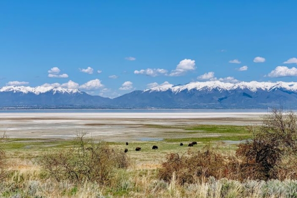 Antelope Island Utah