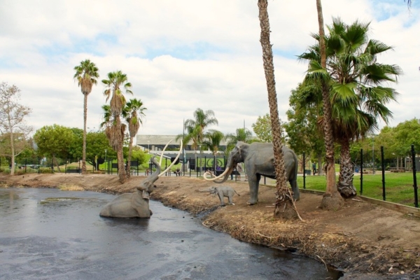 La Brea Tar Pits Los Angeles