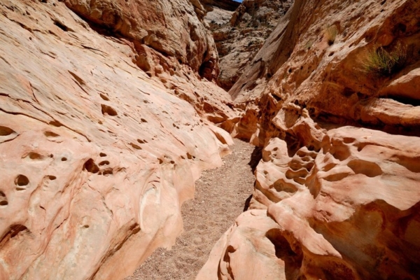 Little Wild Horse Canyon