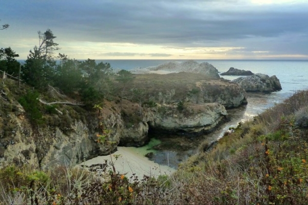 Point Lobos State Natural Reserve Californie