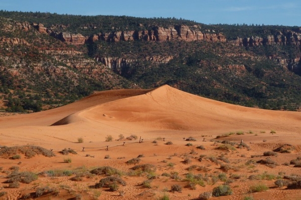 Coral Pink Sand Dunes Utah