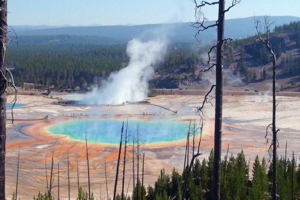 Yellowstone NP