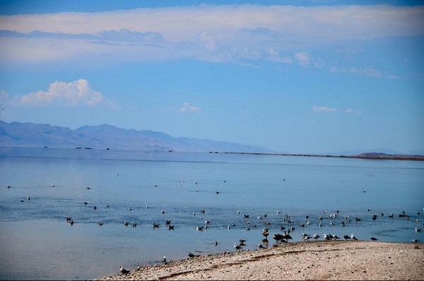 Le Grand Lac Salé