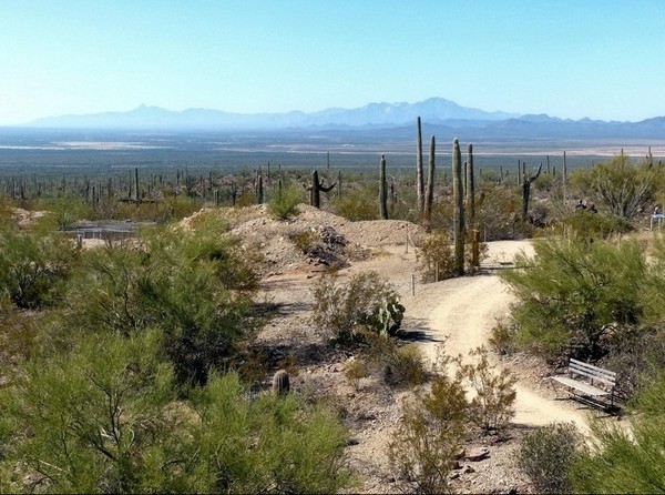 Overlook Earth Sciences Center Sonora Desert Museum