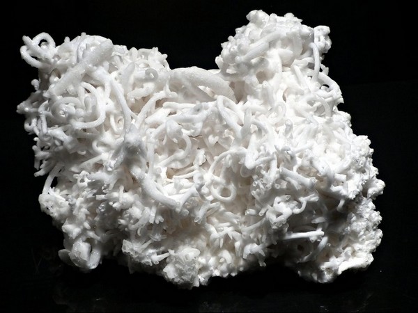 Aragonite