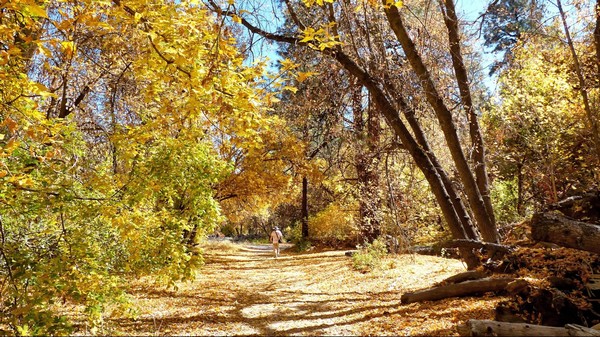 Nature Trail Bandelier National Monument