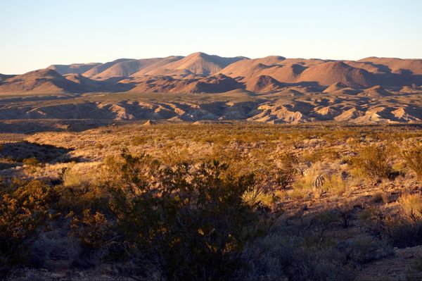 Grapevine Hills Road Big Bend NP