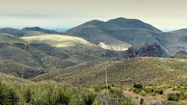 Solol Ross Maxwell Scenic Drive