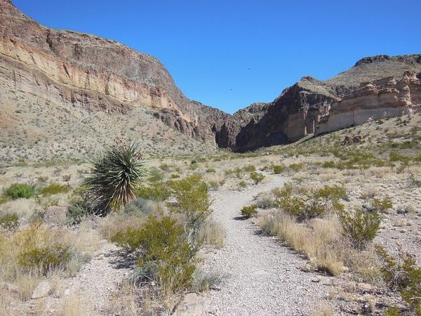 Départ du sentier Lower Burro Mesa Pouroff Trail Big Bend