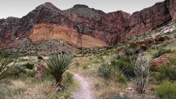 Lower Burro Mesa Pouroff Trail Big Bend