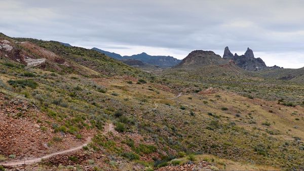 Mule Ears Spring Trail Big Bend