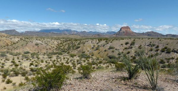 Desert Mountain Overlook Big Bend
