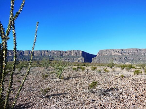 Old Maverick Road big Bend NP