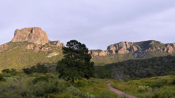 Montagnes Big Bend National Park
