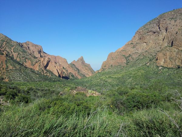 Window Trail Big Bend