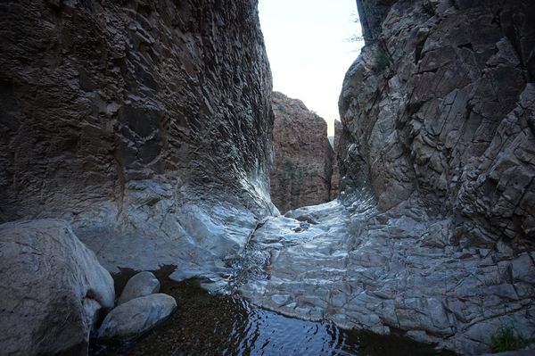 Window Trail Big Bend