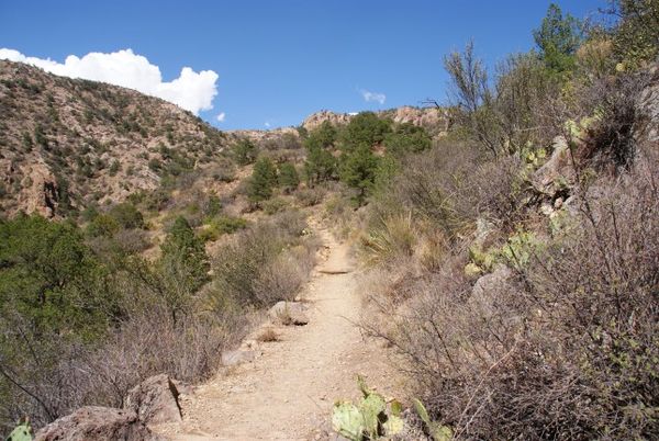 Lost Mine Trail Big Bend
