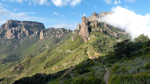 Pine canyon Big Bend