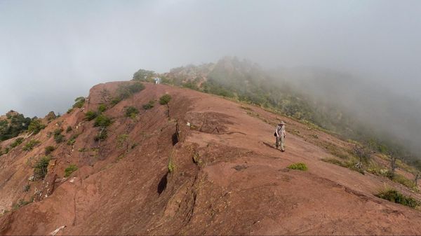 Sommet Lost Mine Trail Big Bend