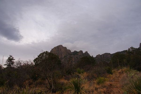 Chisos Basin Loop Trail Big Bend
