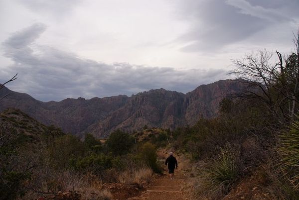 Chisos Basin Loop Trail et les montagnes environnantes Big Bend