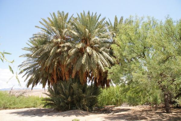 Hot Spring Historic Trail Big Bend