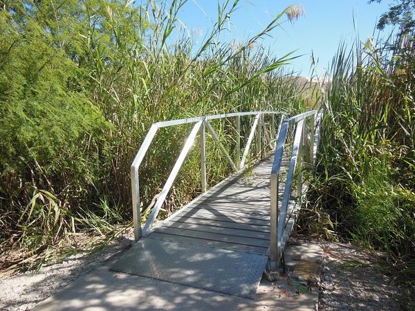 Passerelle Río Grande Village Nature Trail Big Bend
