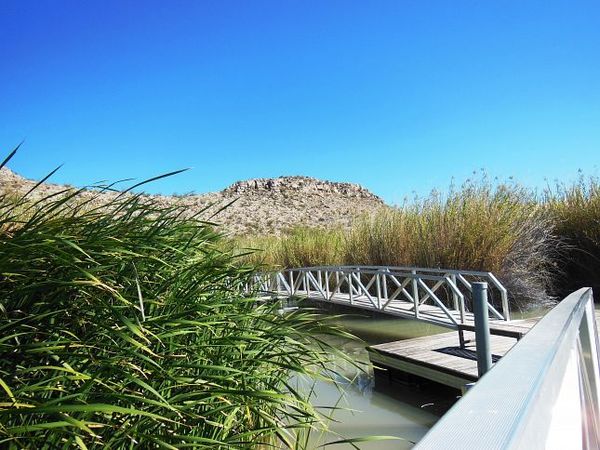 Passerelles Río Grande Village Nature Trail