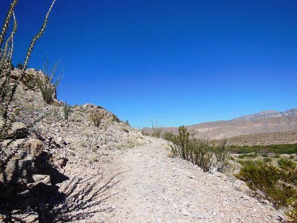 Río Grande Village Nature Trail Big Bend NP