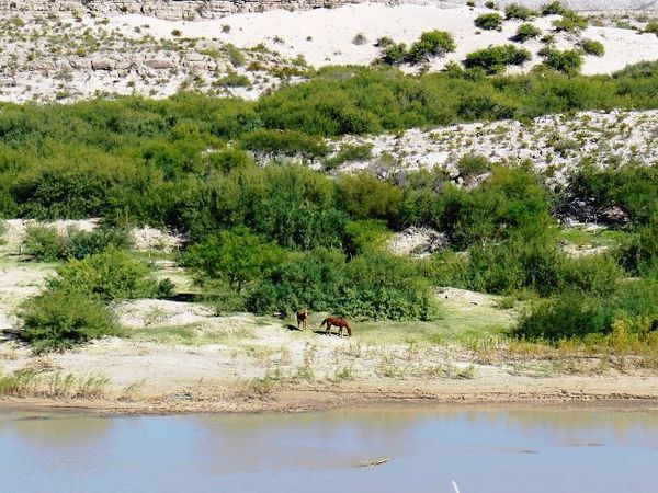 Le Mexique, vu depuis Río Grande Village Nature Trail