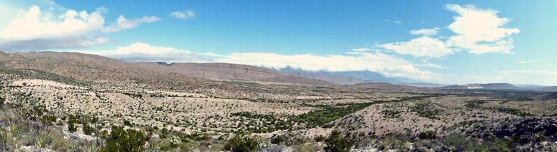 Désert Big Bend NP