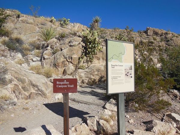 Départ du sentier Boquillas Canyon Trail