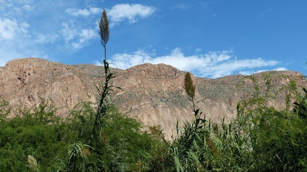 Boquillas Canyon Trail Big Bend