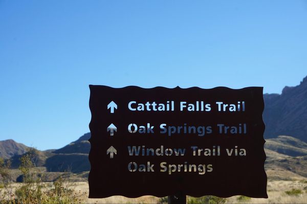 Cattail Falls Trail Big Bend