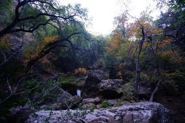 Cattail Falls Big Bend