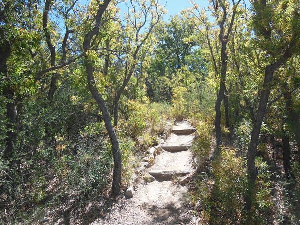 Arbres fruitiers Sam Nail Ranch Big Bend